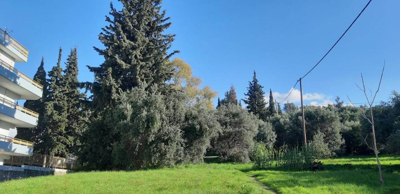 Όμορφο Studio Στην Πόλη Πάτρα Zewnętrze zdjęcie